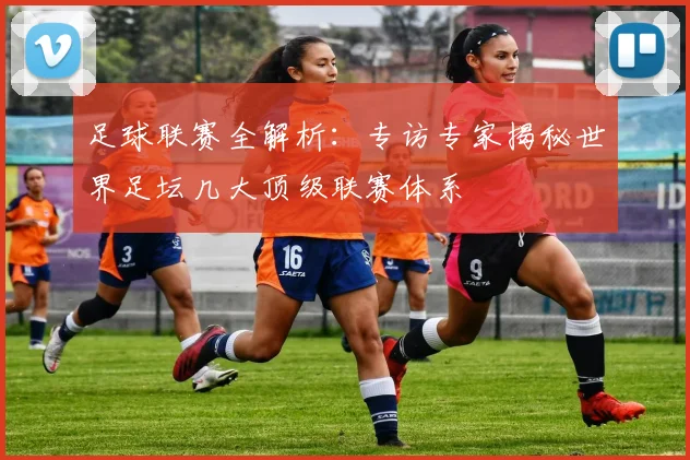足球联赛全解析：专访专家揭秘世界足坛几大顶级联赛体系