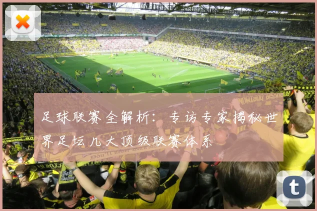 足球联赛全解析：专访专家揭秘世界足坛几大顶级联赛体系