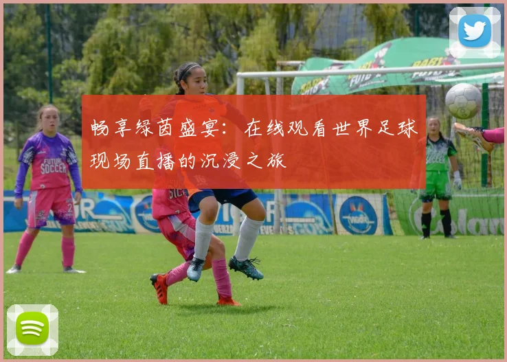 畅享绿茵盛宴：在线观看世界足球现场直播的沉浸之旅